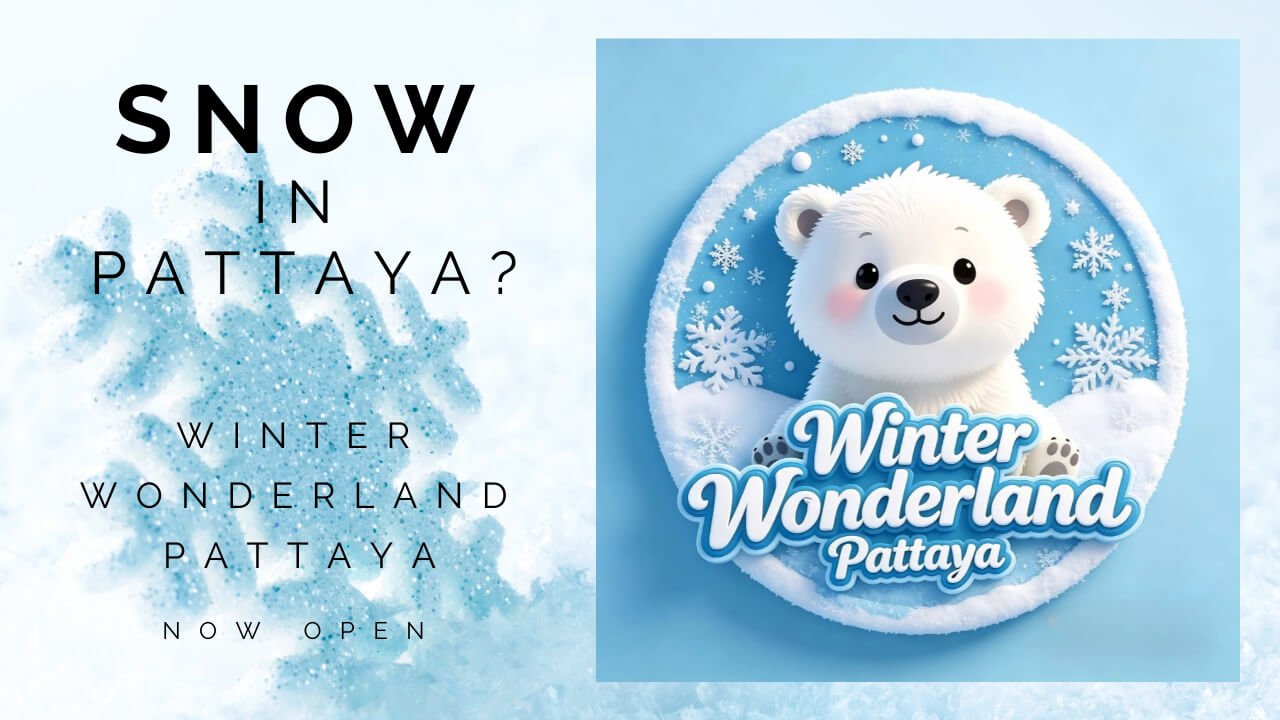 WinterWonderland Pattaya Opens, Bringing Year-Round Snow to Thailand’s Beach City