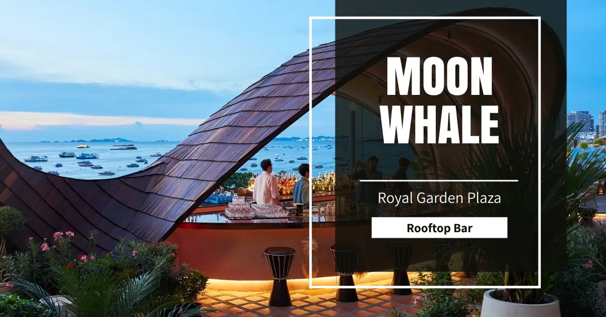 Moon Whale Rooftop Bar